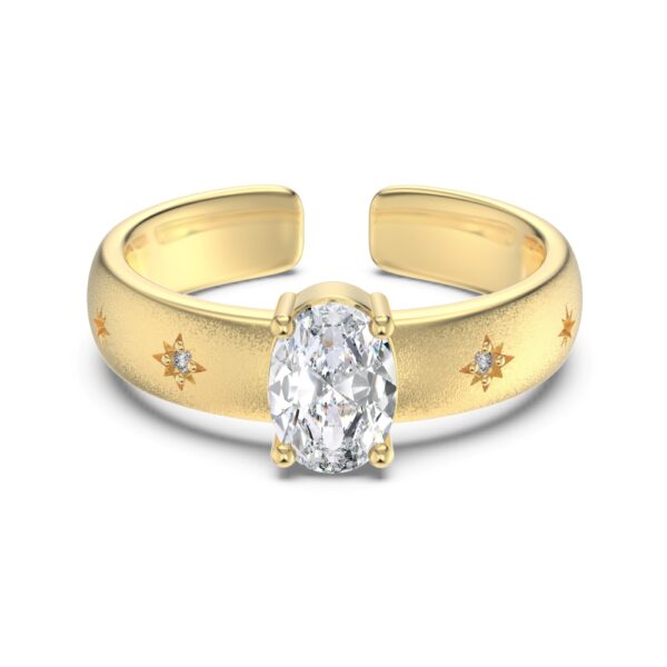 pandora promise ring gold plated silver jewellery